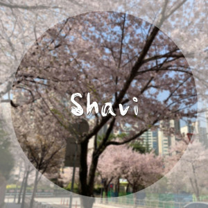 ดาวน์โหลดและฟังเพลง Someone Like Me พร้อมเนื้อเพลงจาก Shavi