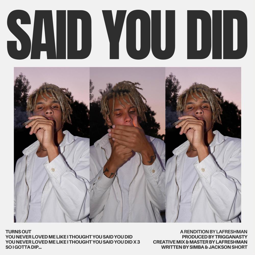 Said You Did