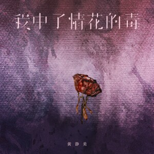 Album 我中了情花的毒 from 黄静美