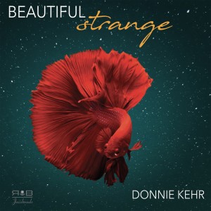 收聽Donnie Kehr的Shift歌詞歌曲