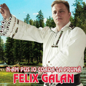 Listen to De-Ar Ave' Mandruta Minte song with lyrics from Felix Gălan