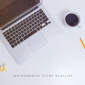 Instrumental Study Playlist dari Various