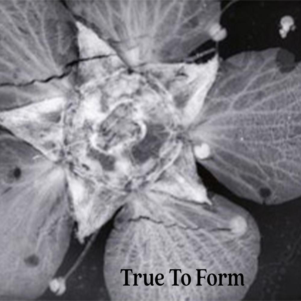 True To Form (feat. MC KYM & Takiyah) (Explicit)