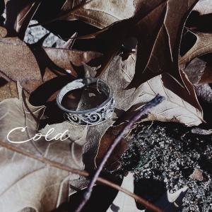 ดาวน์โหลดและฟังเพลง Cold (feat. Wavy Gravy) พร้อมเนื้อเพลงจาก Linnéa
