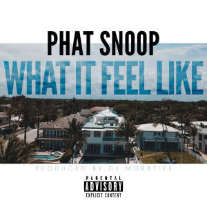 收聽Phat Snoop的What It Feel Like (Explicit)歌詞歌曲
