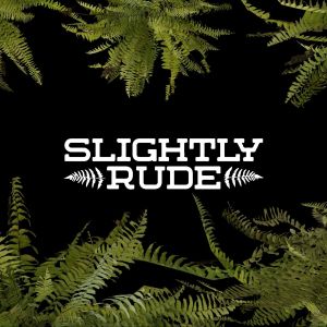 ดาวน์โหลดและฟังเพลง Falling on the Ground พร้อมเนื้อเพลงจาก Slightly Rude