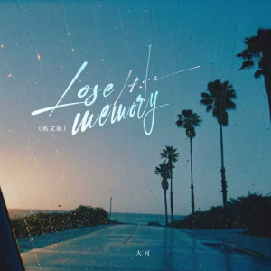 Album Lose memory (失忆)(英文版) from 大可