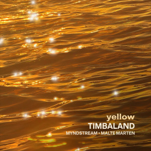 Timbaland的專輯Yellow