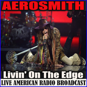 Listen to Dude (Looks Like A Lady) (Live) song with lyrics from Aerosmith