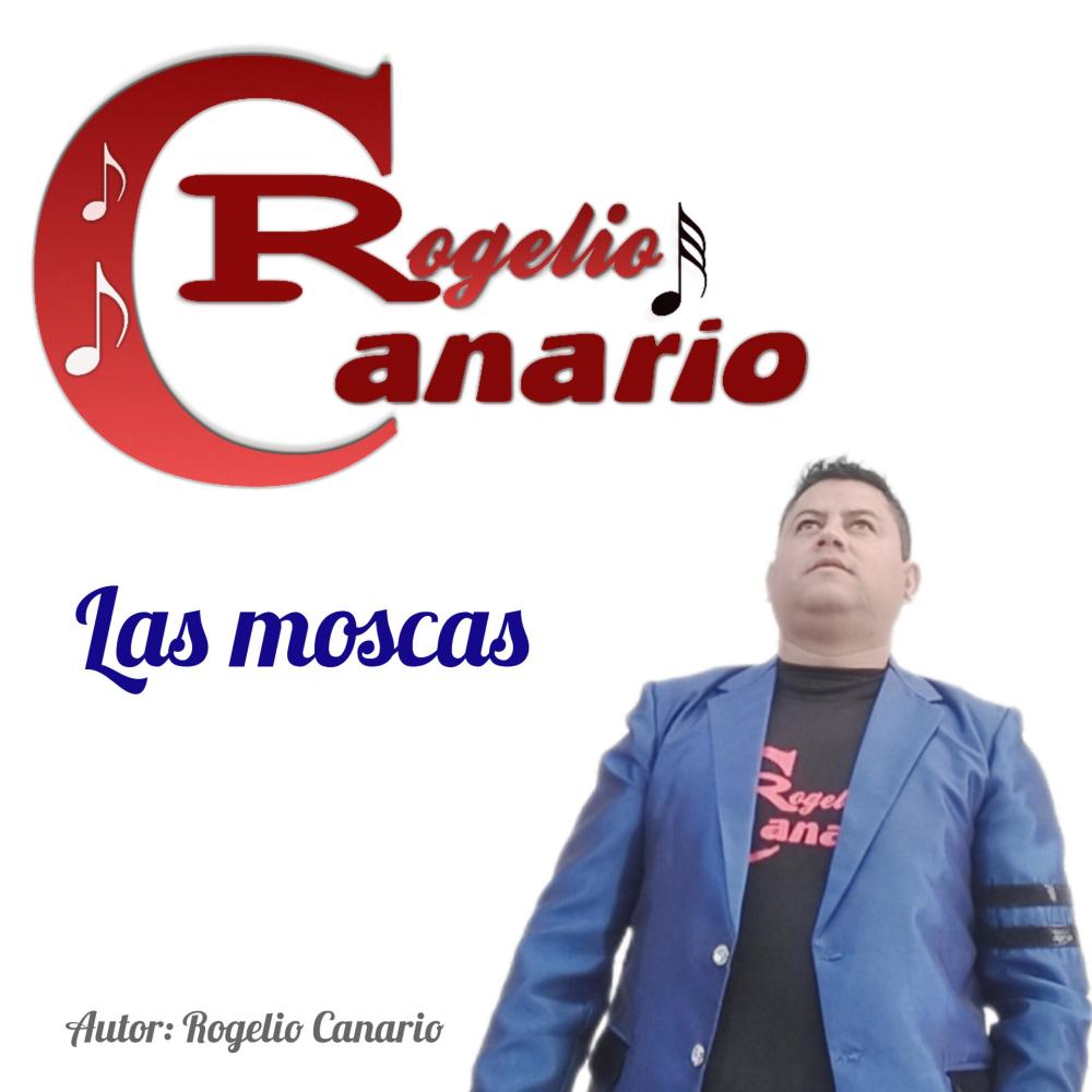Las moscas