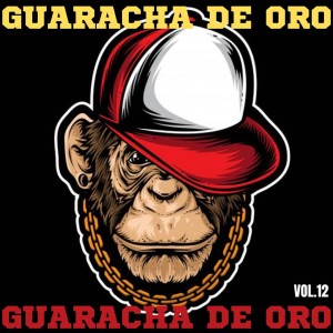 ดาวน์โหลดและฟังเพลง GUARACHA พร้อมเนื้อเพลงจาก DJ KILA