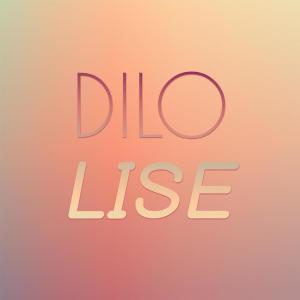 Various的专辑Dilo Lise