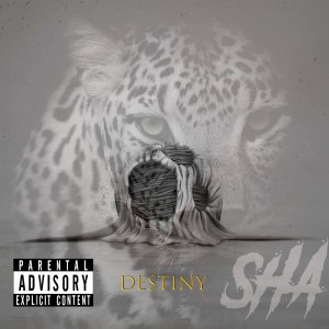 Listen to D E S T I N Y (完整版) song with lyrics from SHA