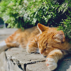 Album Rain: Refreshing Music for Cats Vol. 1 from Nature Therapy