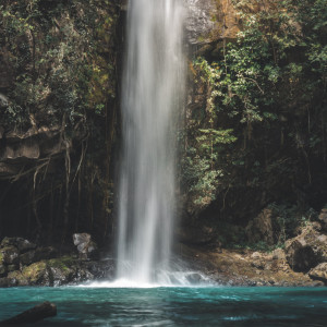 Album Nature's Love Song oleh SPA