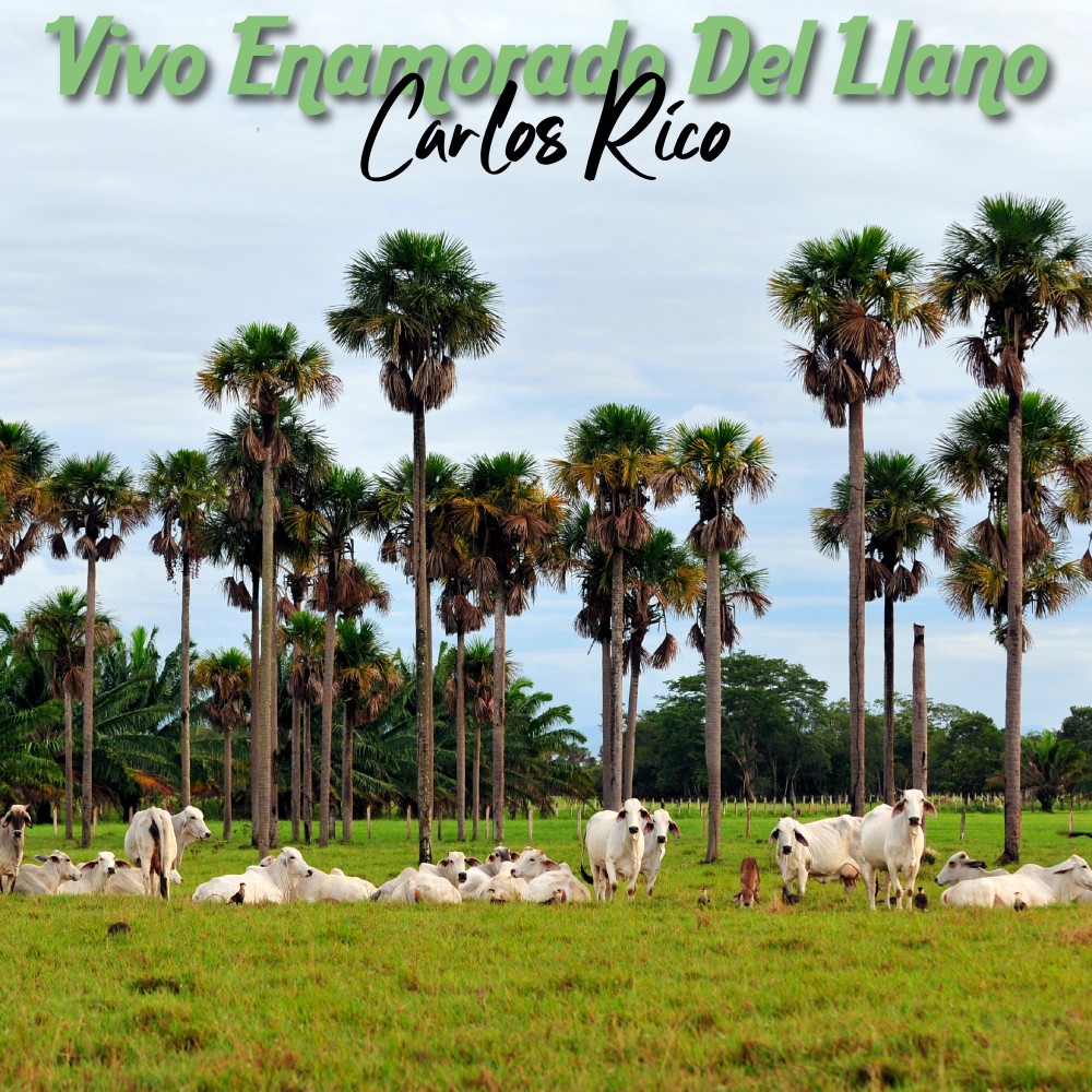 Mi Llano No Es el de Antes