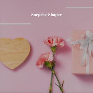 Various的专辑Surprise Shaper