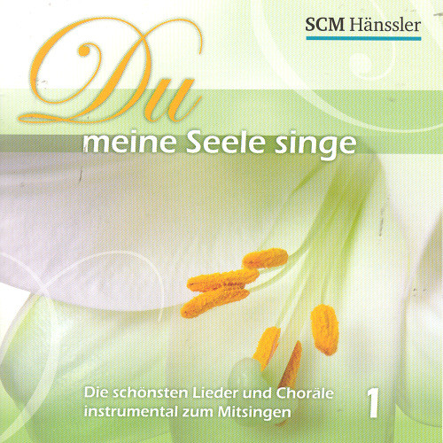 Meine Zeit Steht In Deinen Händen