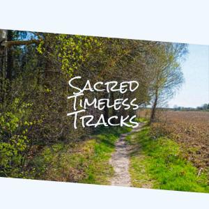 Listen to Droughtiness Showplace song with lyrics from Giseli