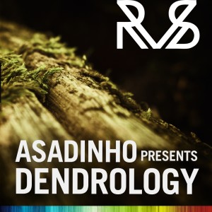 Listen to Flight Fear (Asadinho Remix) song with lyrics from Onur Ozman