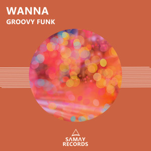 Album Groovy Funk from Wanna