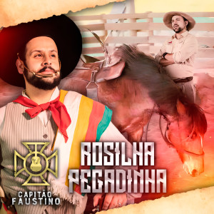 Listen to Rosilha Pegadinha song with lyrics from Capitão Faustino