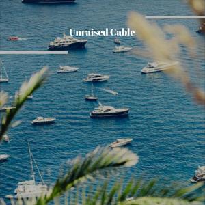 ดาวน์โหลดและฟังเพลง Unraised Cable พร้อมเนื้อเพลงจาก Eling Silke