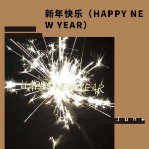 收听刘宇轩的新年快乐歌词歌曲