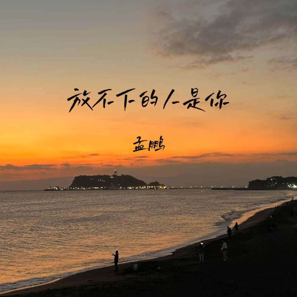 放不下的人是你 (伴奏)