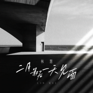 Listen to 二月最后一天见面 (伴奏) song with lyrics from 林慧