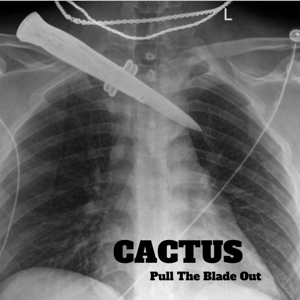 PULL THE BLADE OUT (feat. Gravyboat & Diamondback Kid) (Explicit)