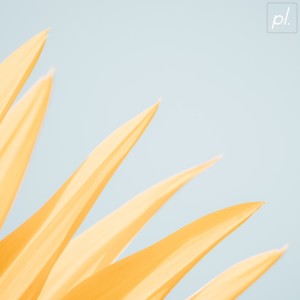 Listen to Photosynthesis song with lyrics from sad.exe