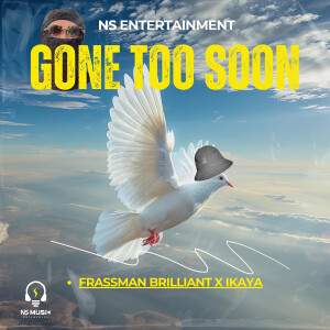 Listen to Gone Too Soon song with lyrics from Frassman Brilliant