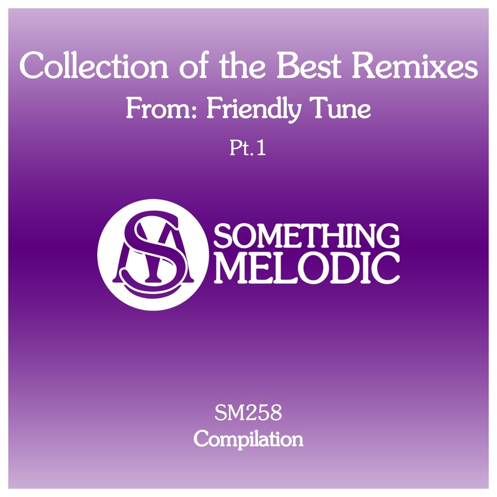 Fall in Love (Friendly Tune Remix)