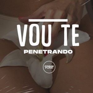 Listen to Vou Te Penetrando (Explicit) song with lyrics from DJ Meno GMZ