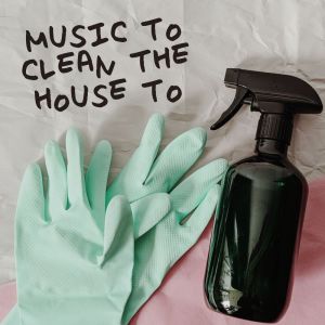 ดาวน์โหลดและฟังเพลง Beach Boy Blues พร้อมเนื้อเพลงจาก Elvis Presley