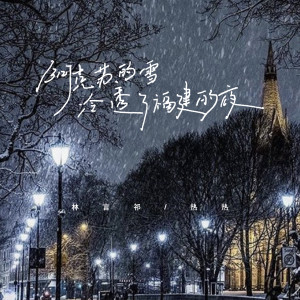 Album 阿克苏的雪冷透了福建的夜 from 林言祁