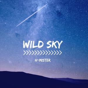 Album Wild Sky from H-Mister