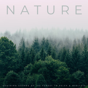 Reiki的專輯Nature: Soothing Sounds Of The Forest To Relax & Meditate