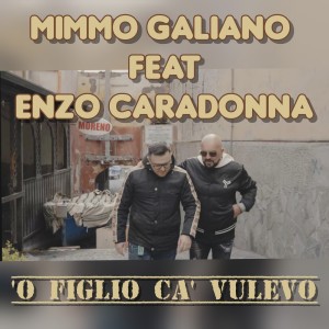 Album O figlio ca' vulevo from Mimmo Galiano