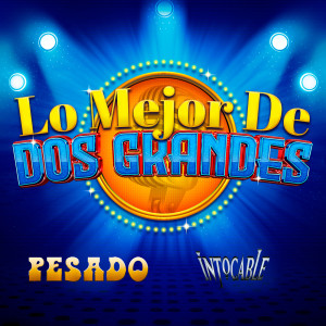 ดาวน์โหลดและฟังเพลง Ingrato Amor (Live At Nuevo León México/2009) พร้อมเนื้อเพลงจาก Pesado