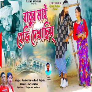 Album Babur Mai Hevy Dekhachis from Rajesh