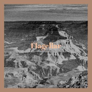 Listen to Clan song with lyrics from Manh Kaell