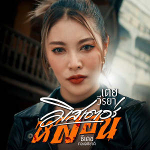 Album มิสเตอร์หลอน - Single oleh เตย วีรยา