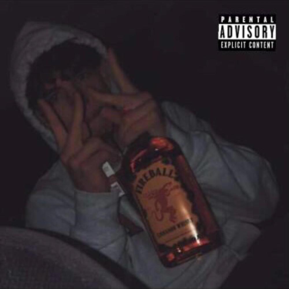Shenanigans (feat. Z Riff) (Explicit)