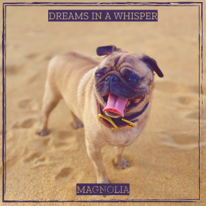 收听Magnolia的Dreams in a Whisper歌词歌曲
