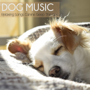 收聽Dog Music Therapy的Autumnal Leaves歌詞歌曲