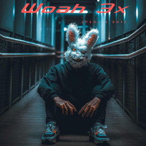 Album Woah 3x (Explicit) from J Perl