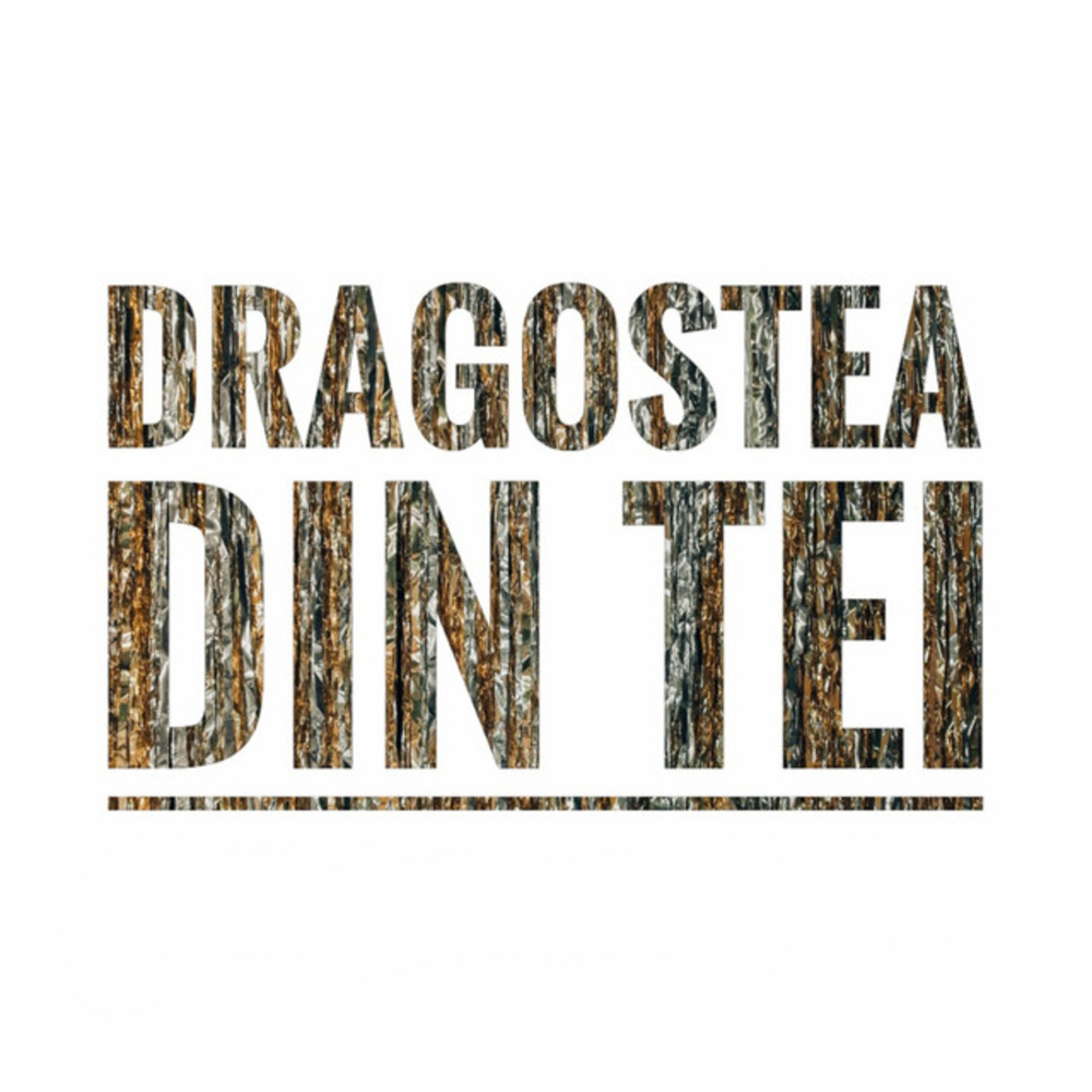 Dragostea Din Tei