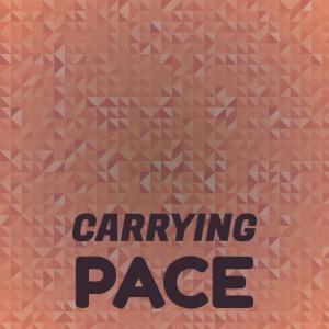 Various的专辑Carrying Pace